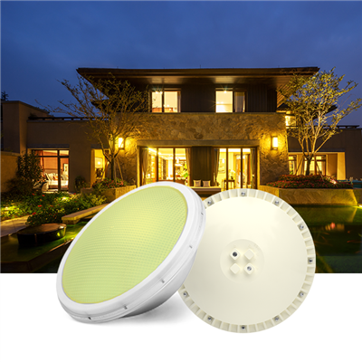 Luce LED par piscina Par56